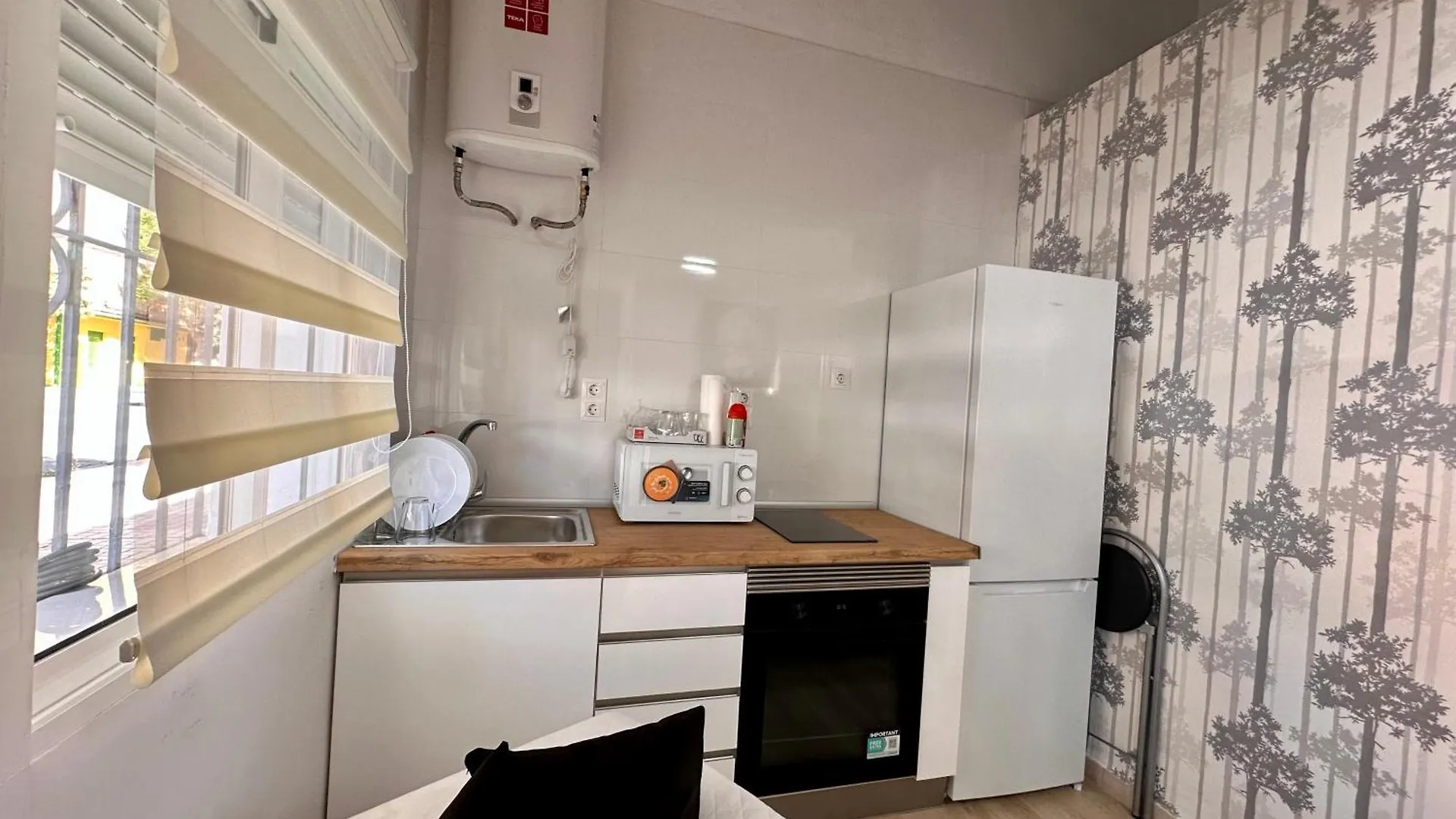 Estudio Los Patios Apartment Malaga Spain